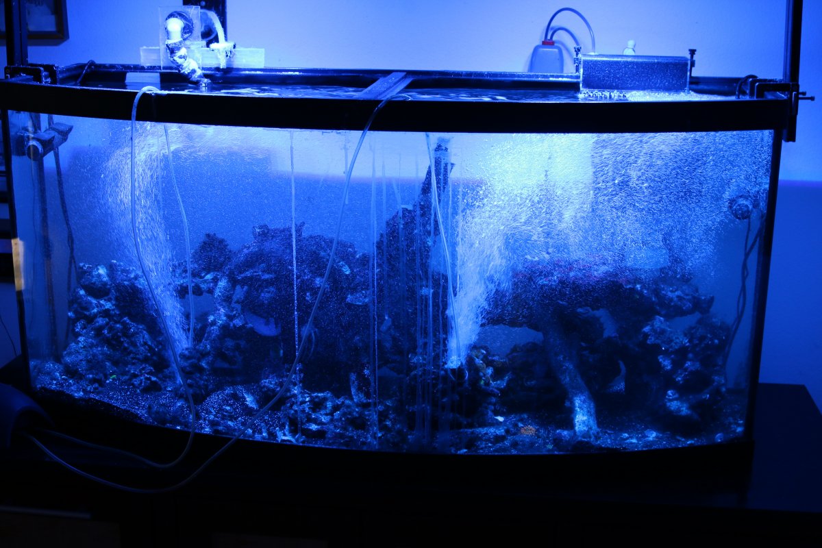 Build Thread - Let's see those before and after tank crashes pictures ...