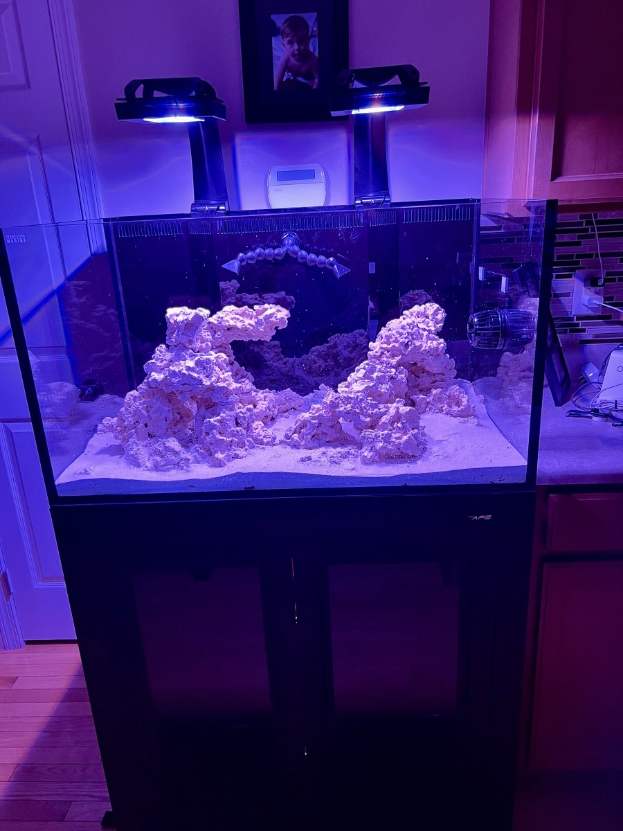 AIO Build - Serpentman's ADHD Multi Tank builds with some throwbacks ...