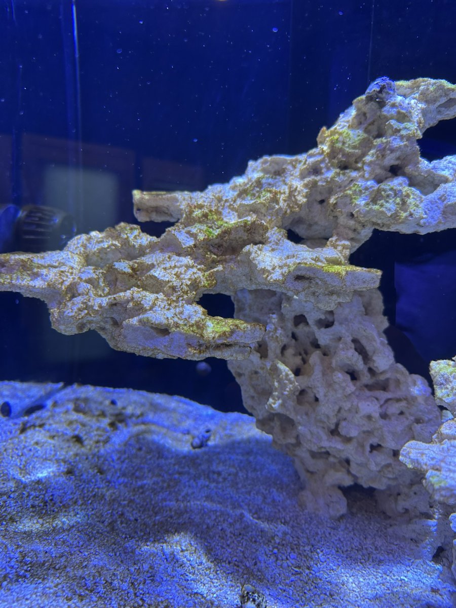IMG_5735.JPEG