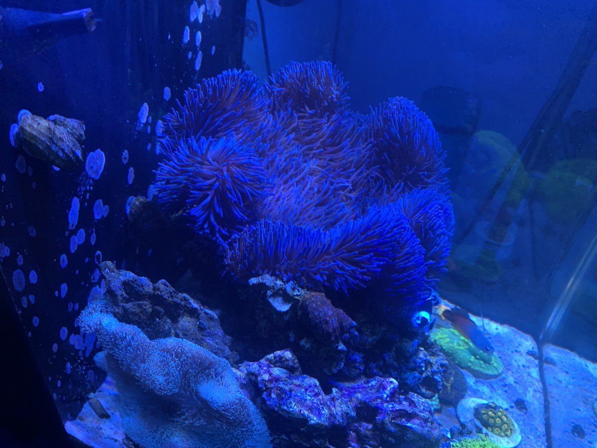 IMG_5737.jpeg