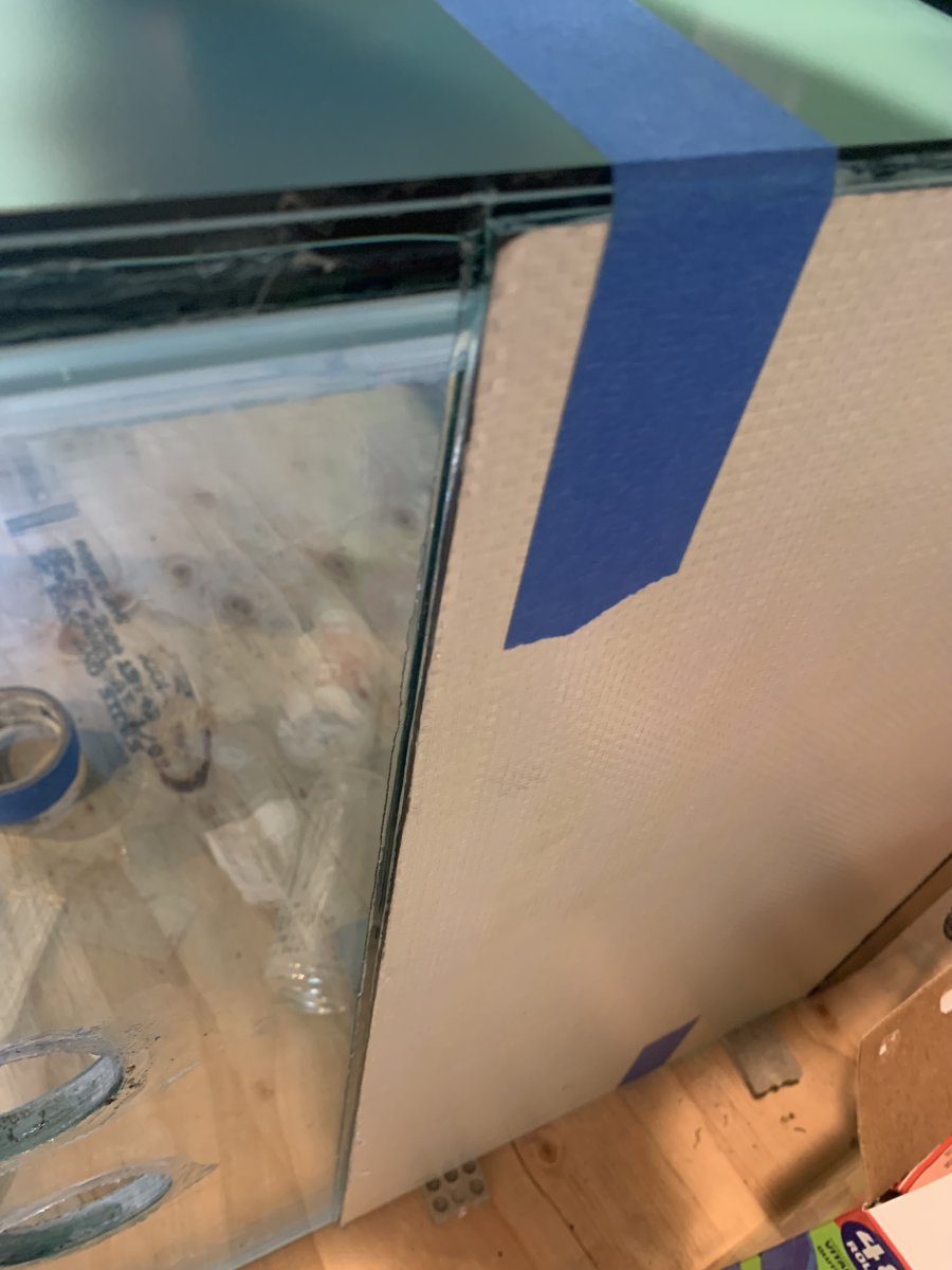 IMG_5739.jpeg