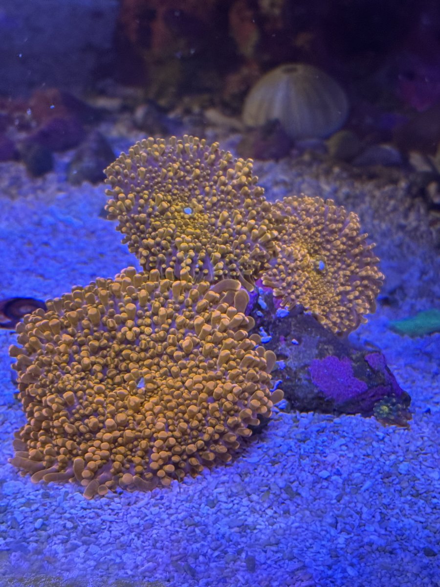 IMG_5751.jpeg
