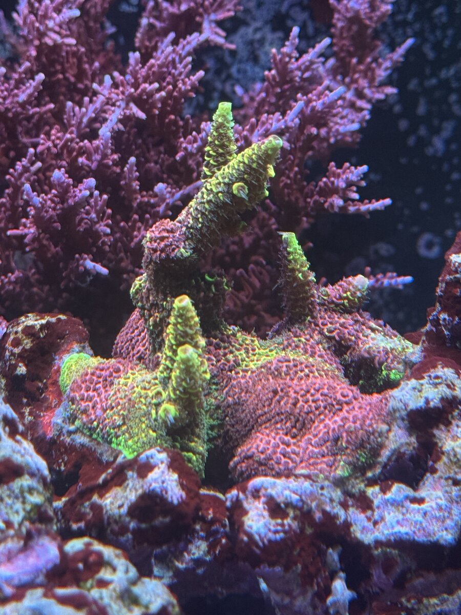 IMG_5759.jpeg