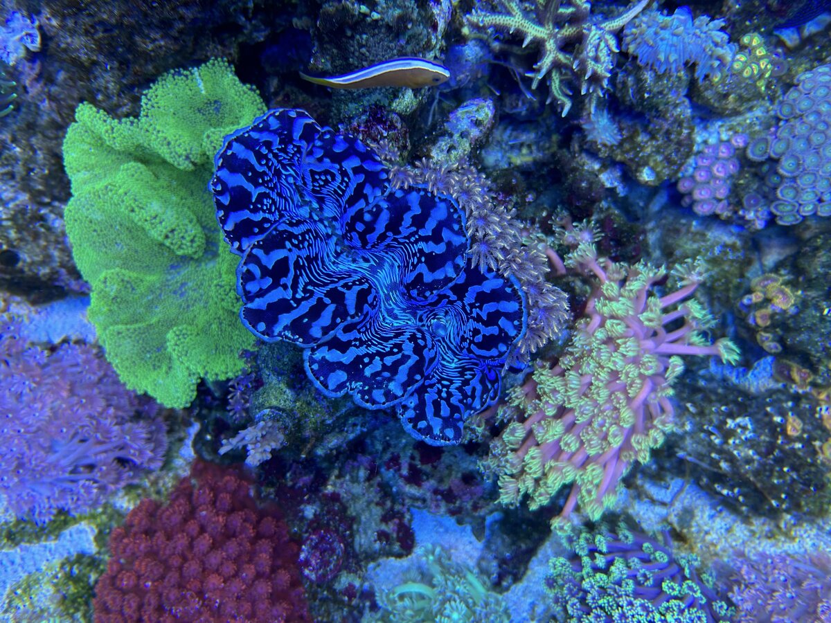 IMG_5760.jpeg
