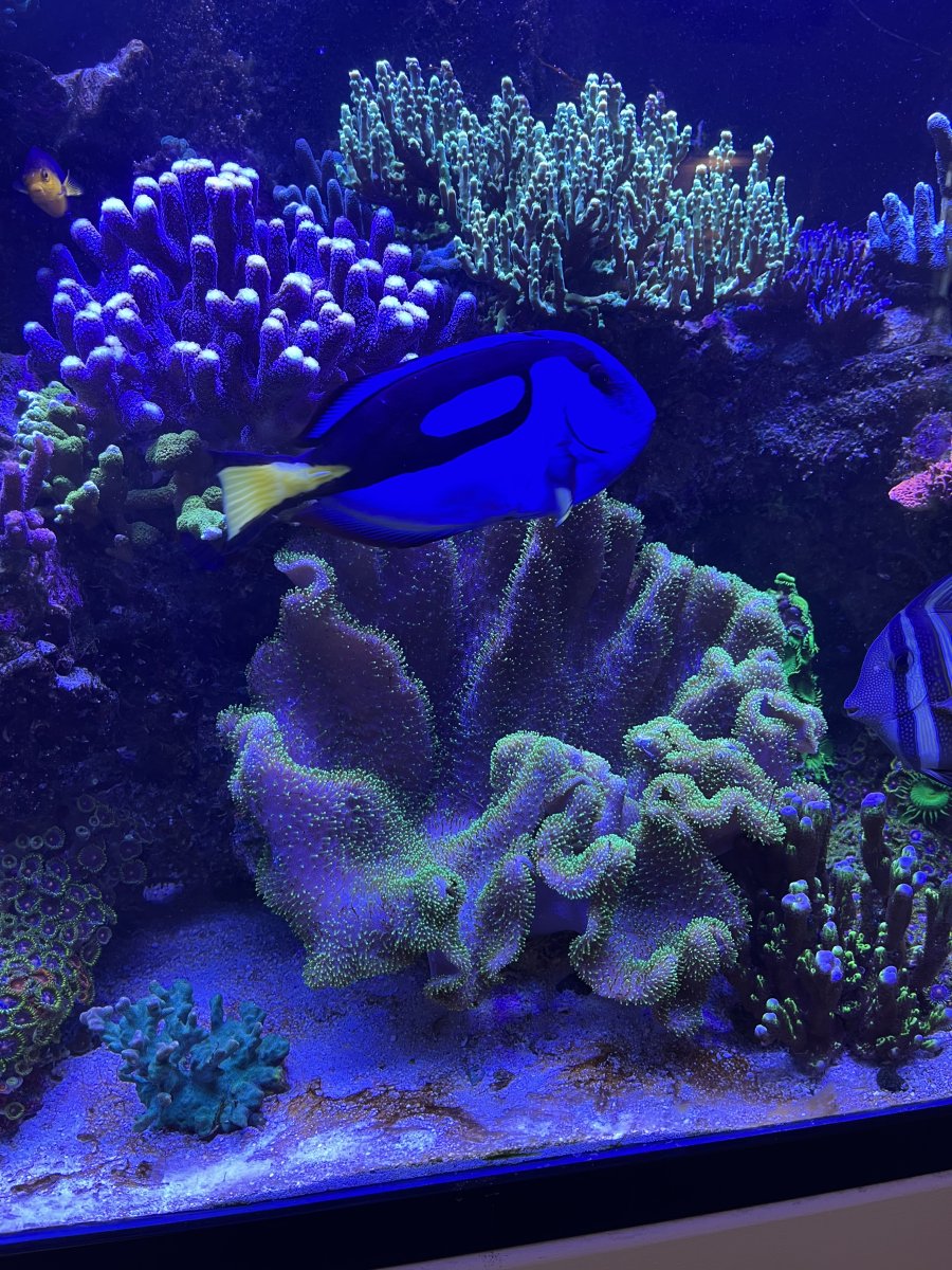 IMG_5775.jpeg