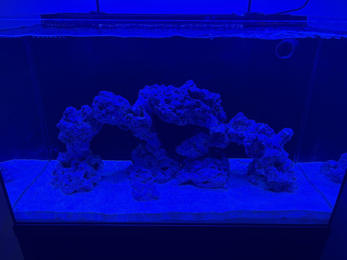 IMG_5787.jpeg