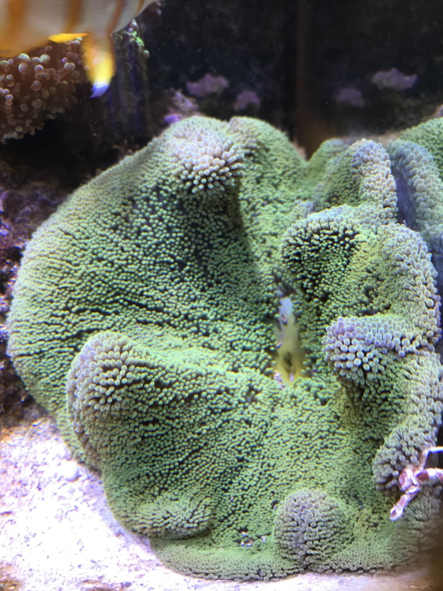 IMG_5788.jpeg