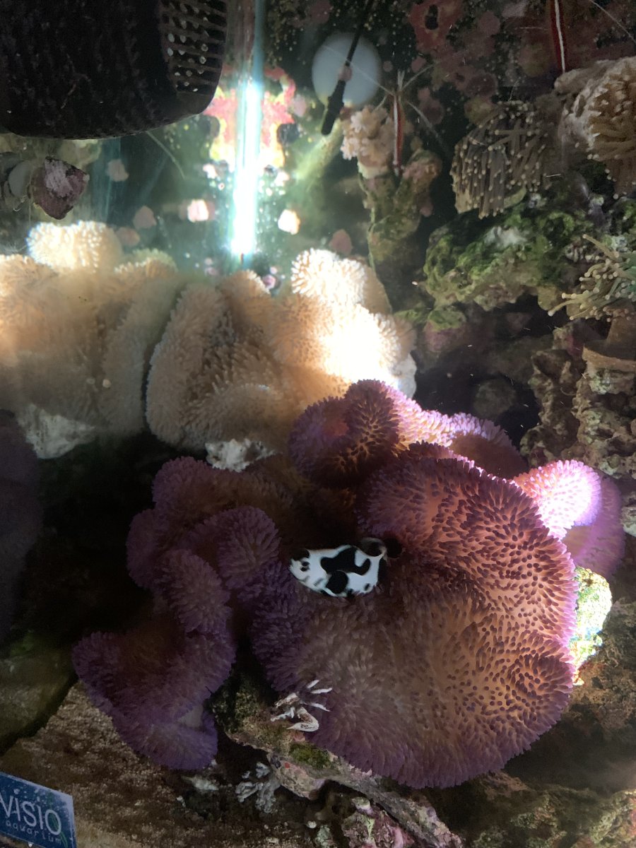 IMG_5792.jpeg