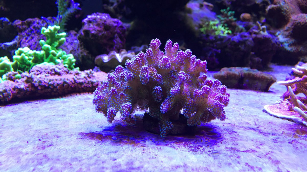 IMG_5798.JPG