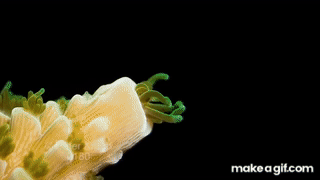IMG_5812.gif