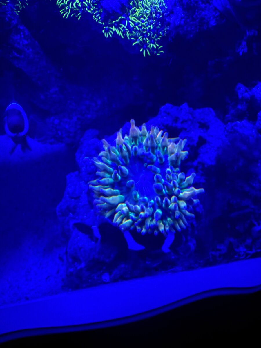 IMG_5812.jpeg