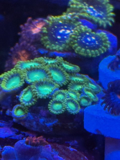 IMG_5813.jpeg