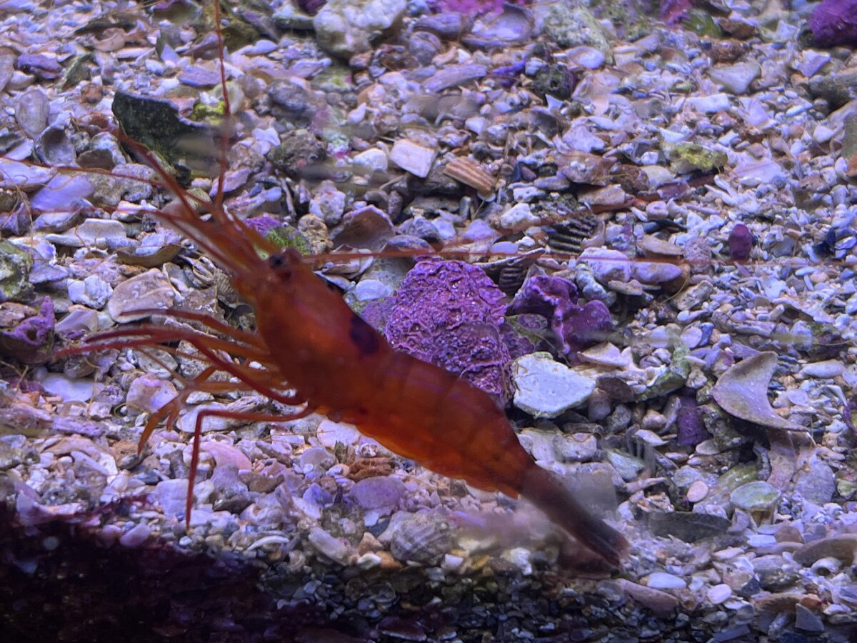 IMG_5815.jpeg