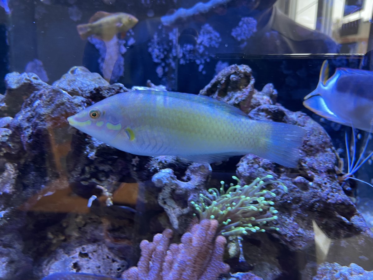 IMG_5816.jpeg