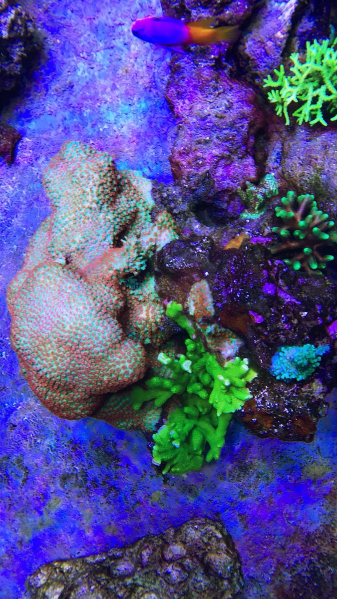 IMG_5816.JPG