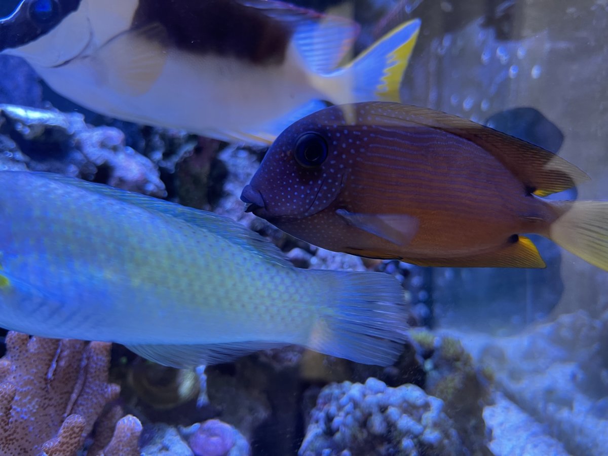 IMG_5817.jpeg