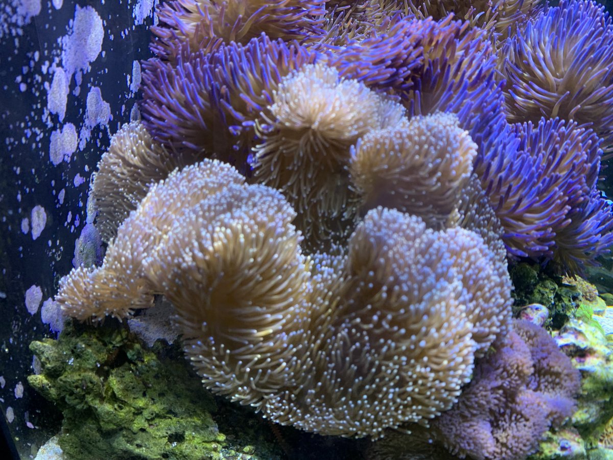 IMG_5820.jpeg