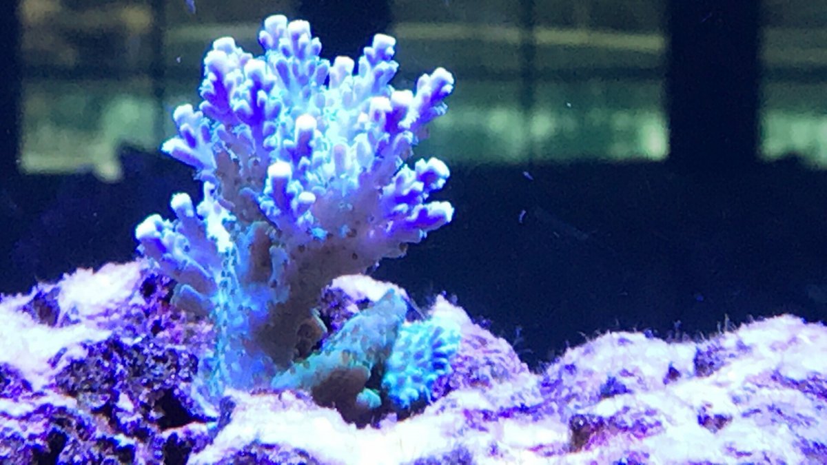 IMG_5828.JPG