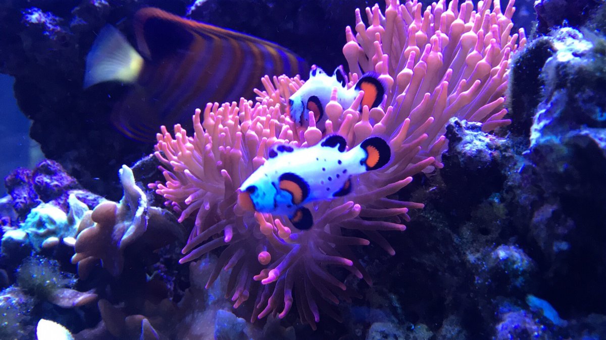 IMG_5839.JPG