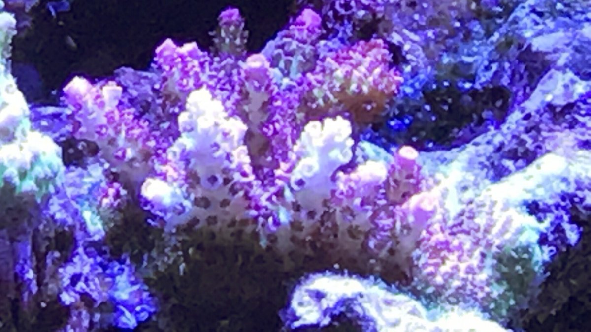 IMG_5841.JPG
