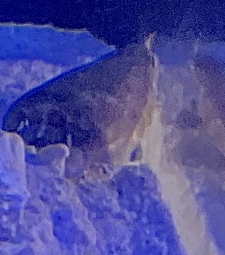 IMG_5844.jpeg