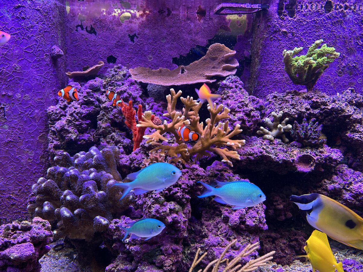 IMG_5850.jpeg