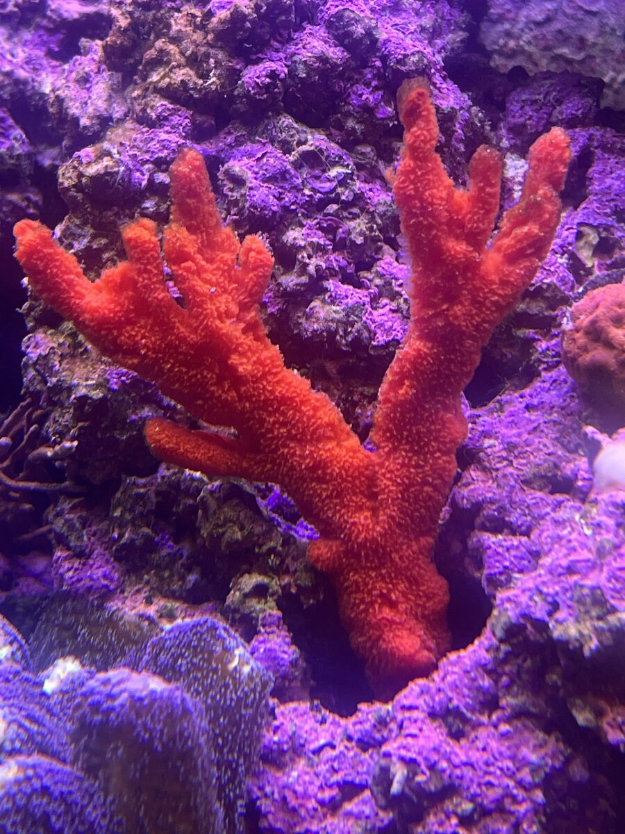 IMG_5865.jpeg