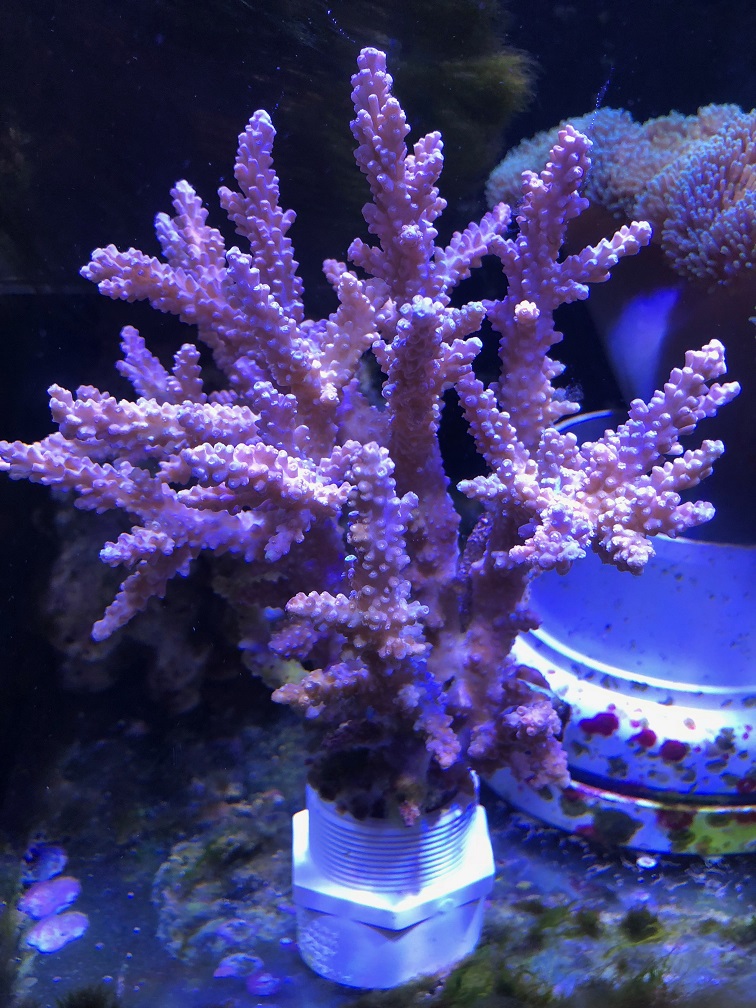 IMG_5869.JPG