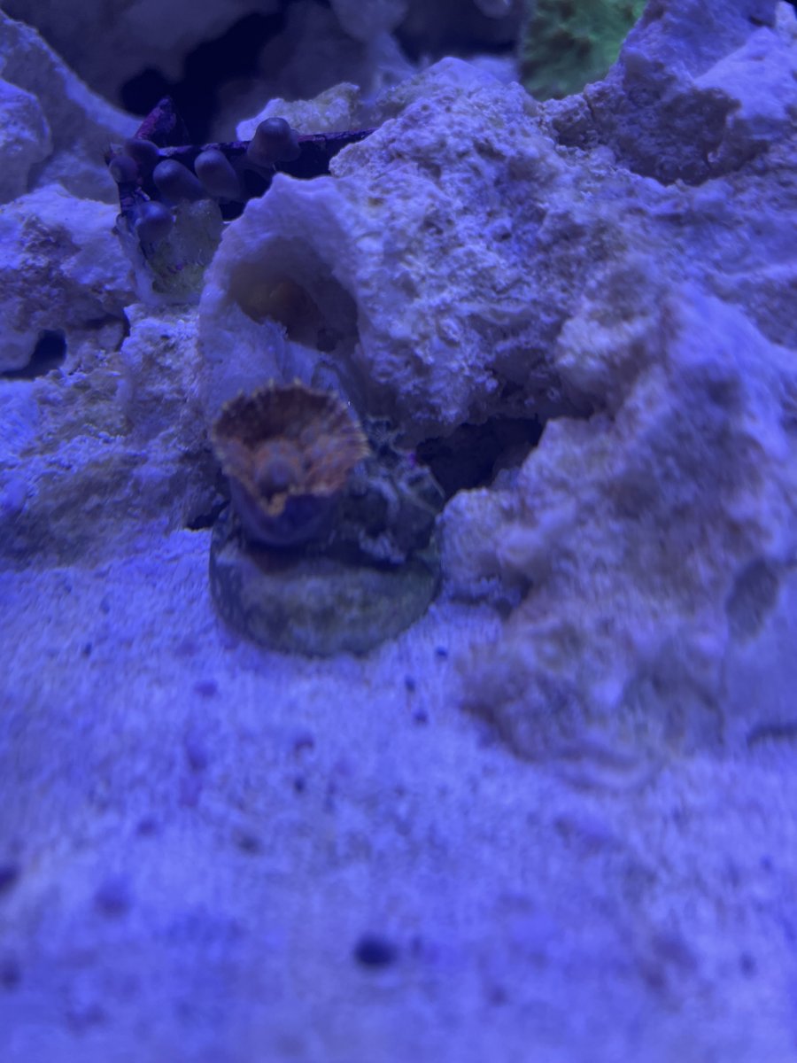 IMG_5870.jpeg