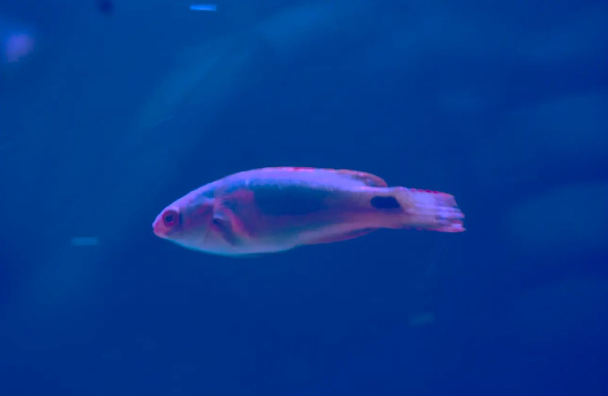 IMG_5877.jpeg
