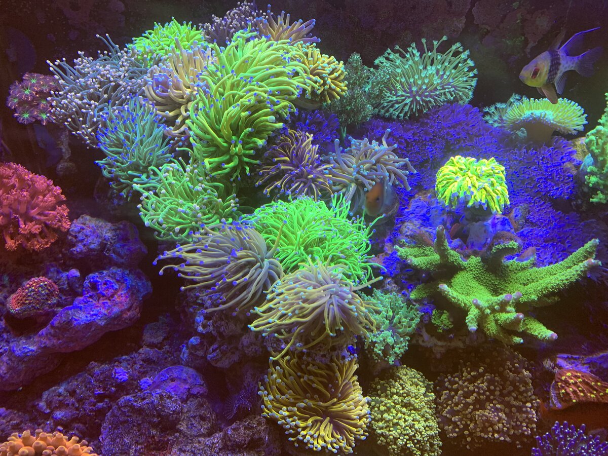 IMG_5884.jpeg