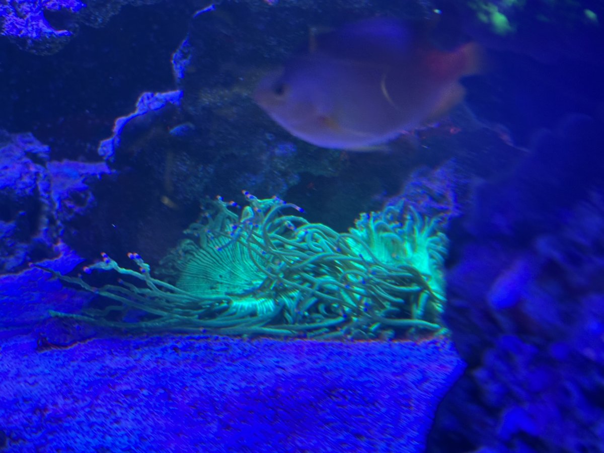 IMG_5898.jpeg