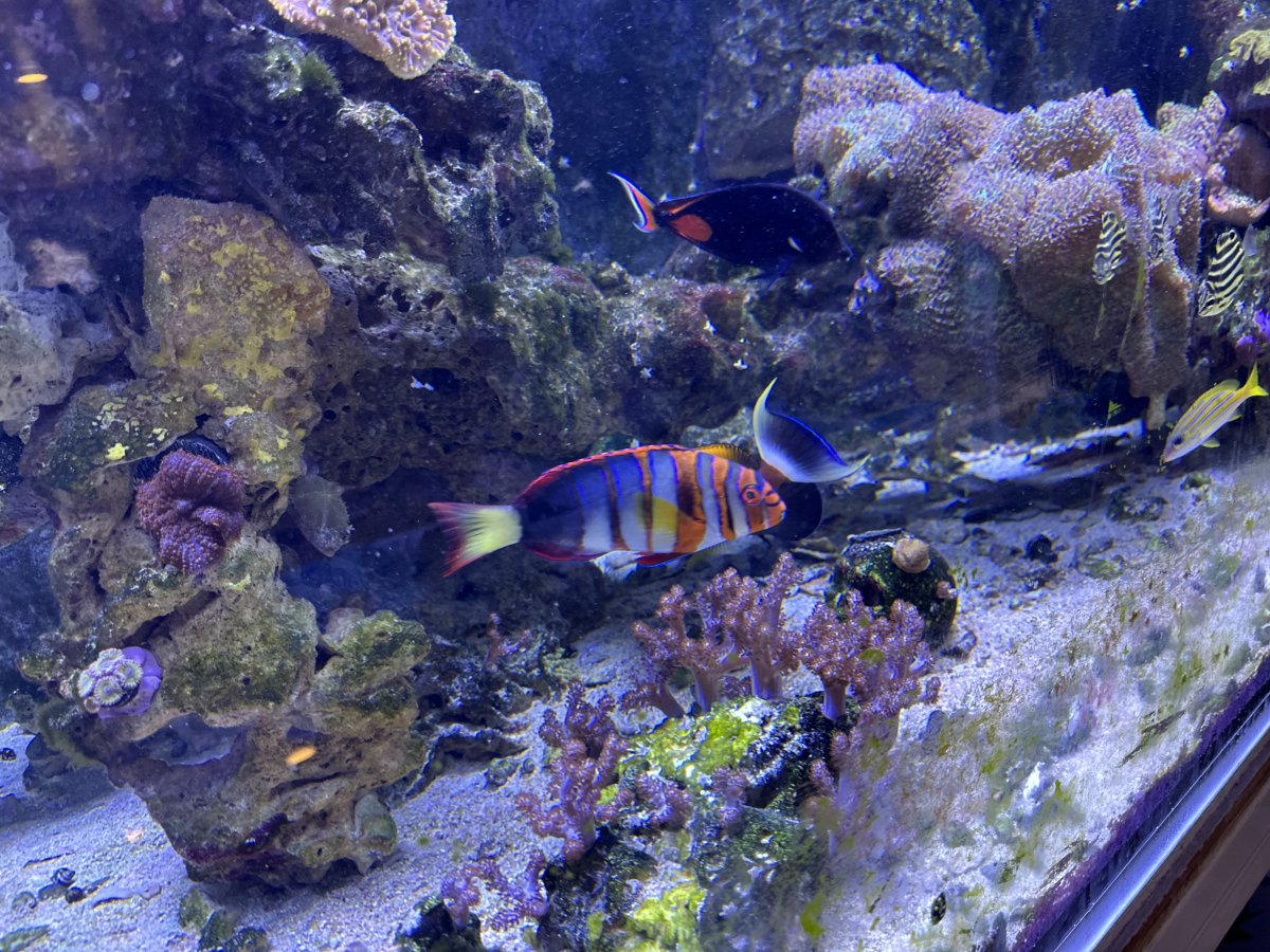 IMG_5916.jpeg