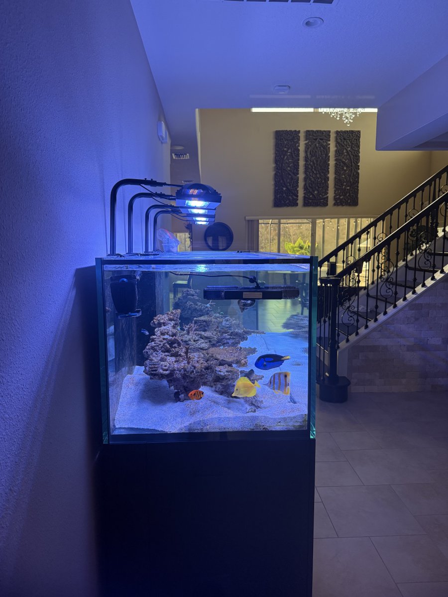 IMG_5916.jpeg