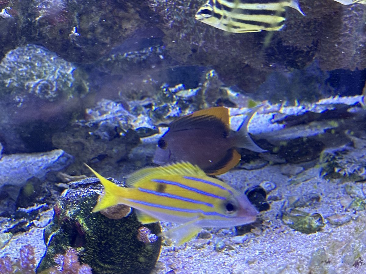 IMG_5917.jpeg