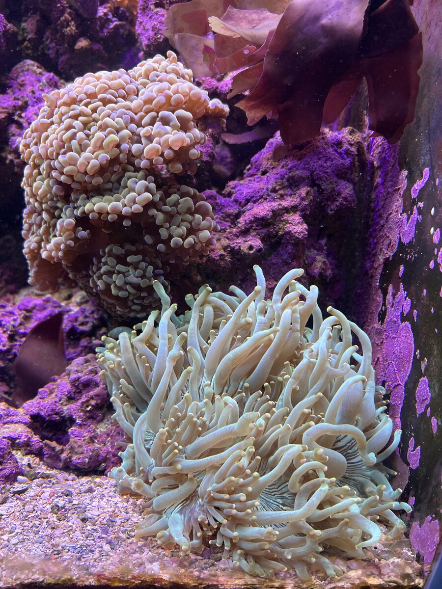 IMG_5921.jpeg