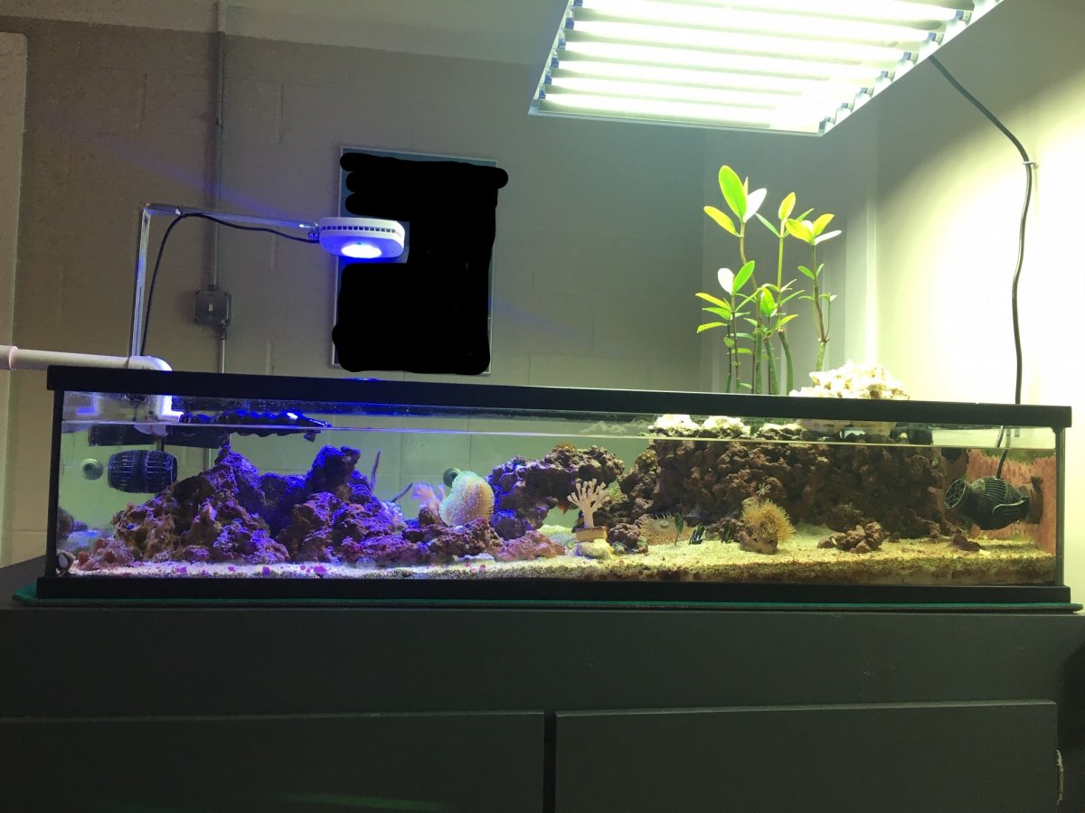 Lowboy sales aquarium stand