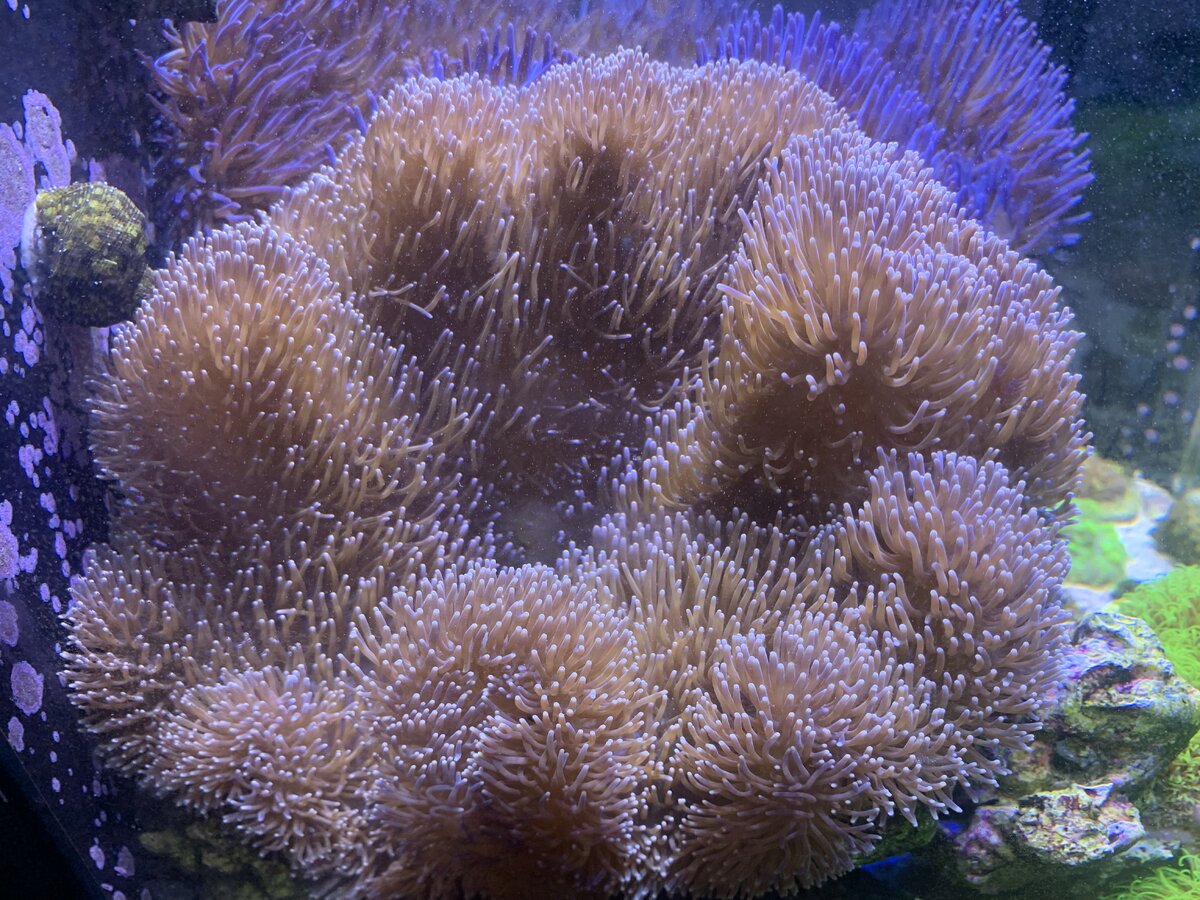 IMG_5930.jpeg