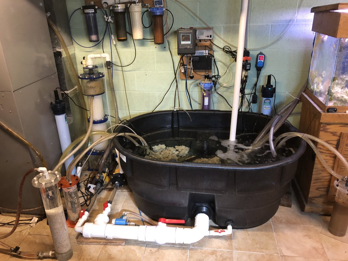 Why Spend hundreds to Thousands on a Sump, Page 3