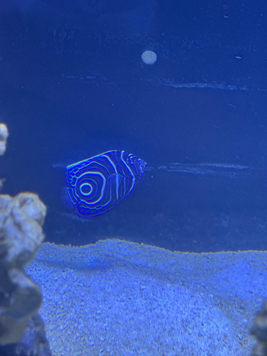 IMG_5962.jpeg