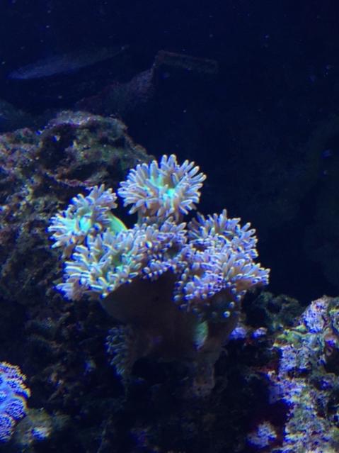 IMG_5966.jpg
