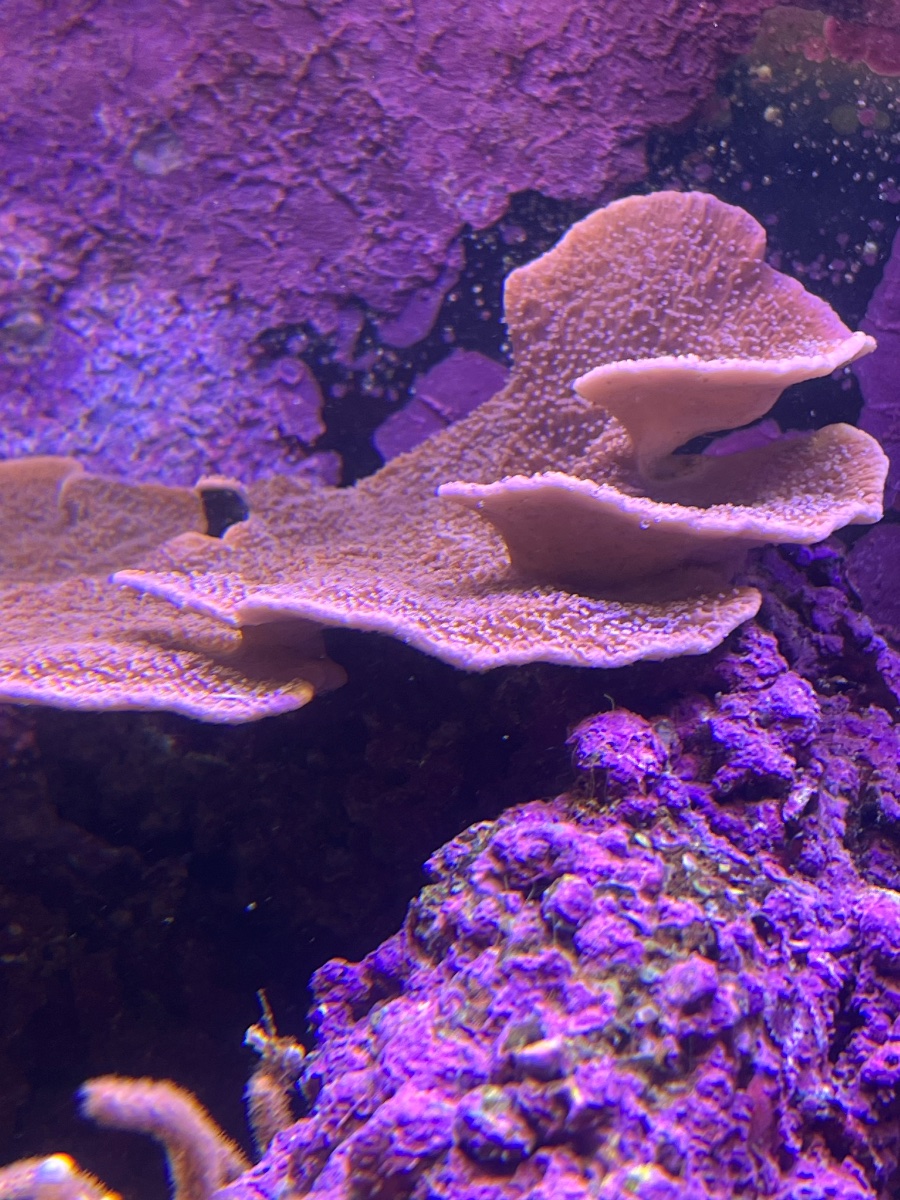 IMG_5983.jpeg