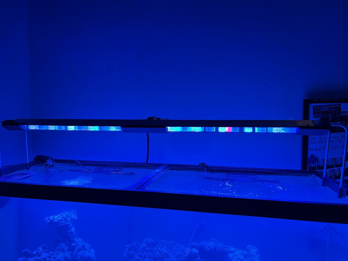 IMG_5986.jpeg