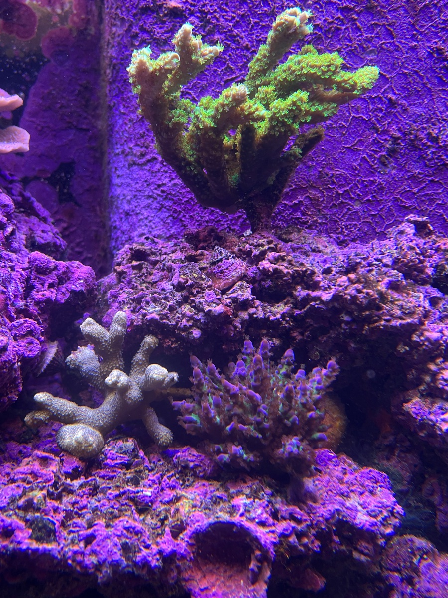 IMG_5989.jpeg