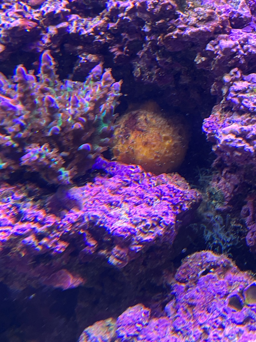 IMG_5990.jpeg