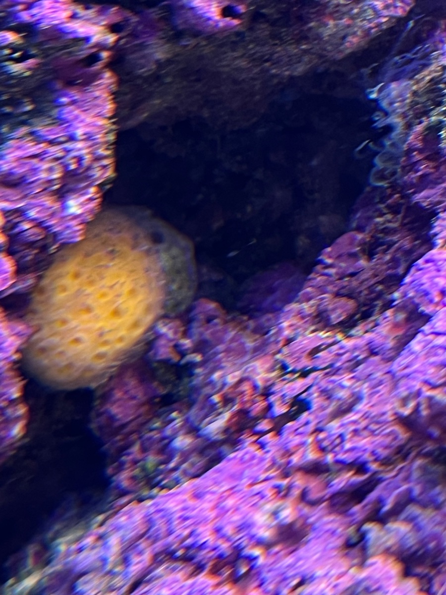 IMG_5991.jpeg