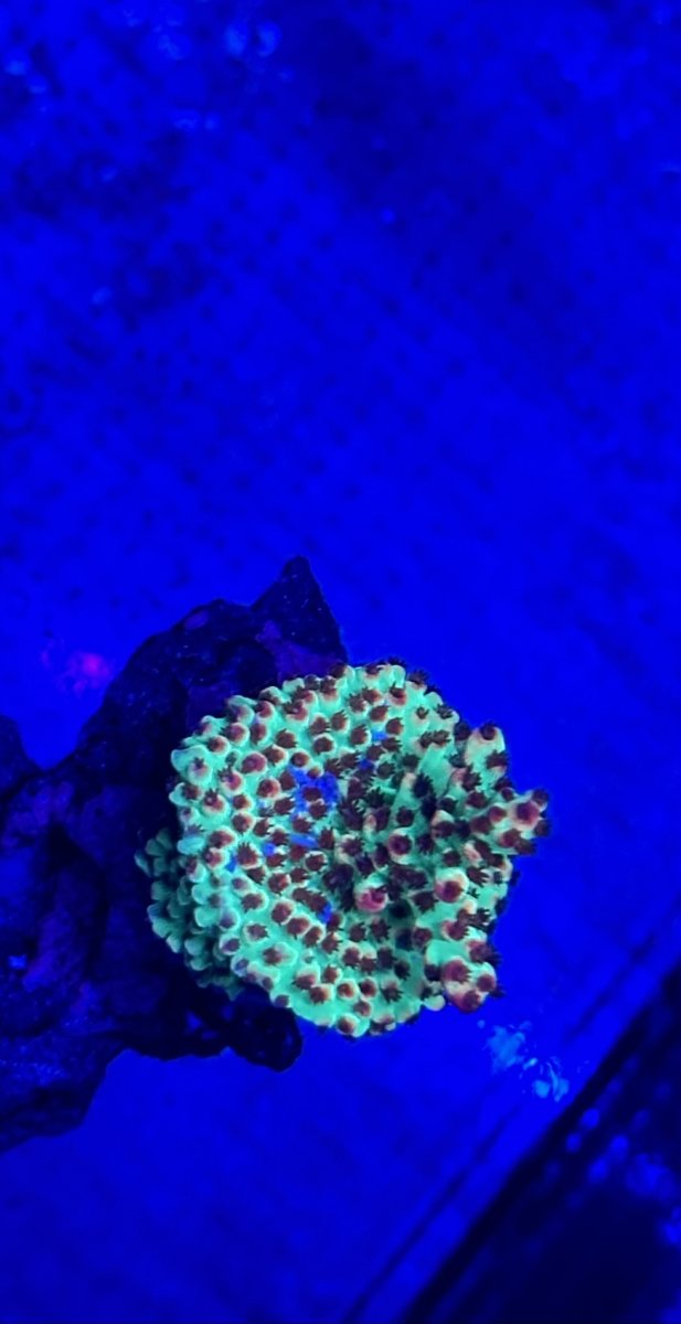 IMG_5995.jpeg
