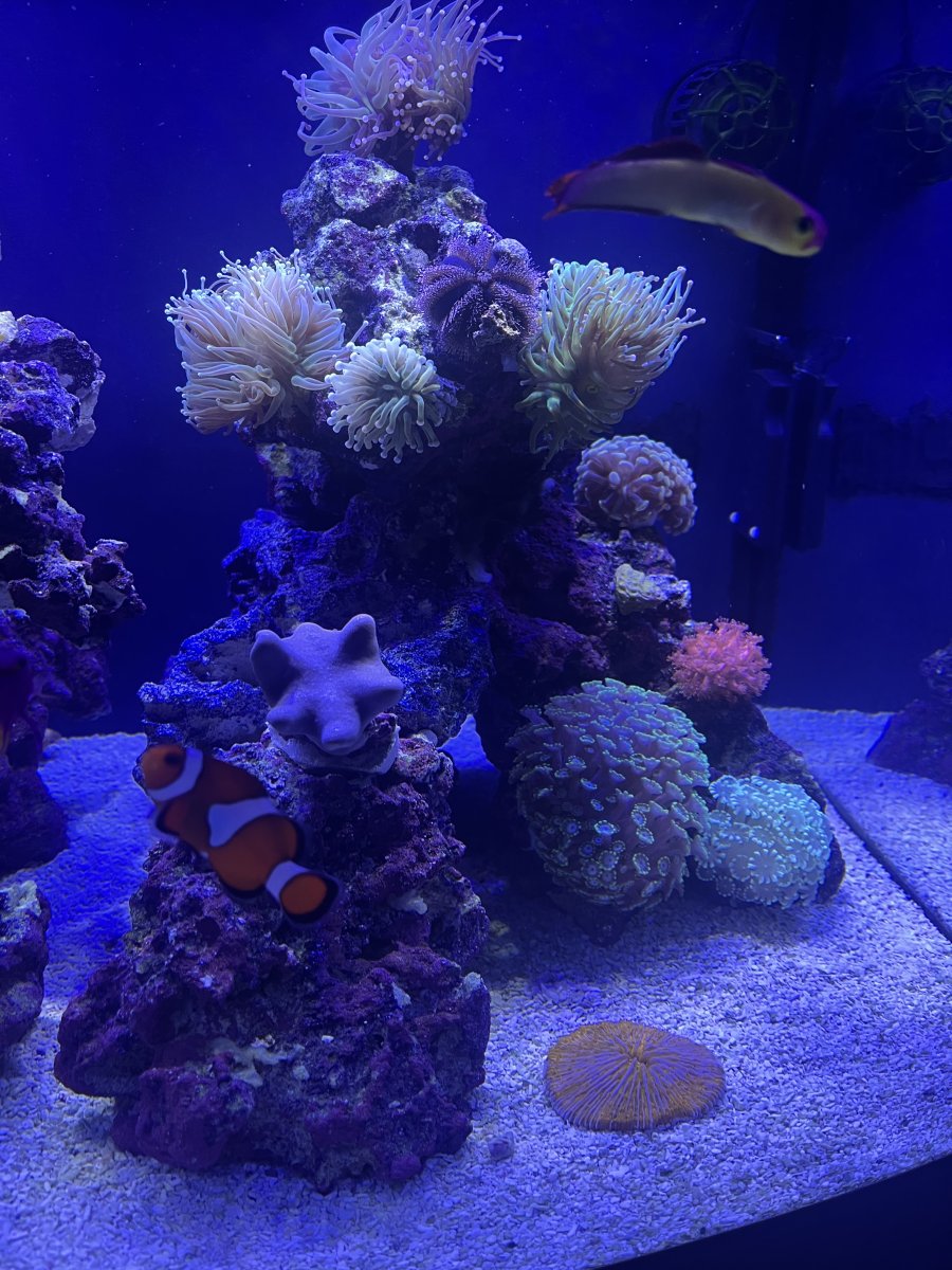 IMG_6005.jpeg