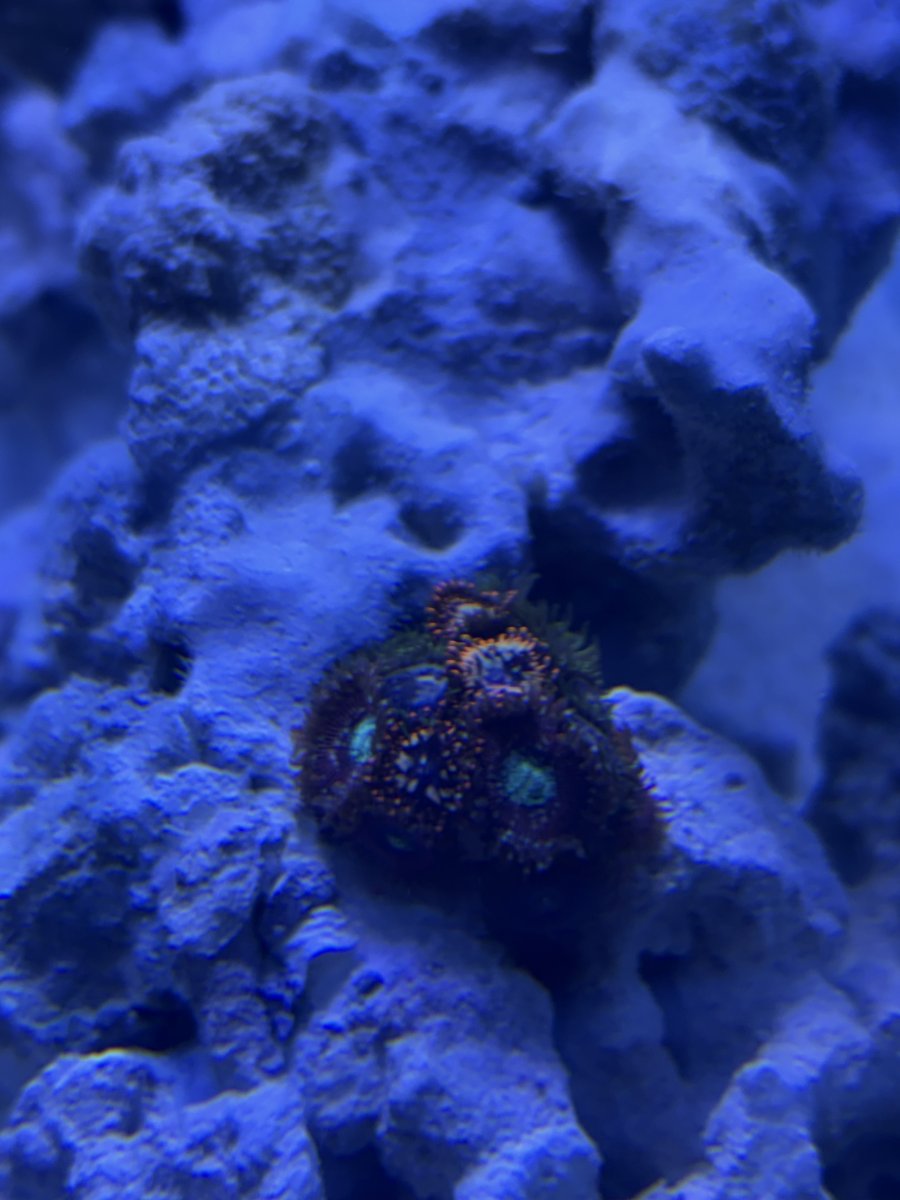 IMG_6006.jpeg