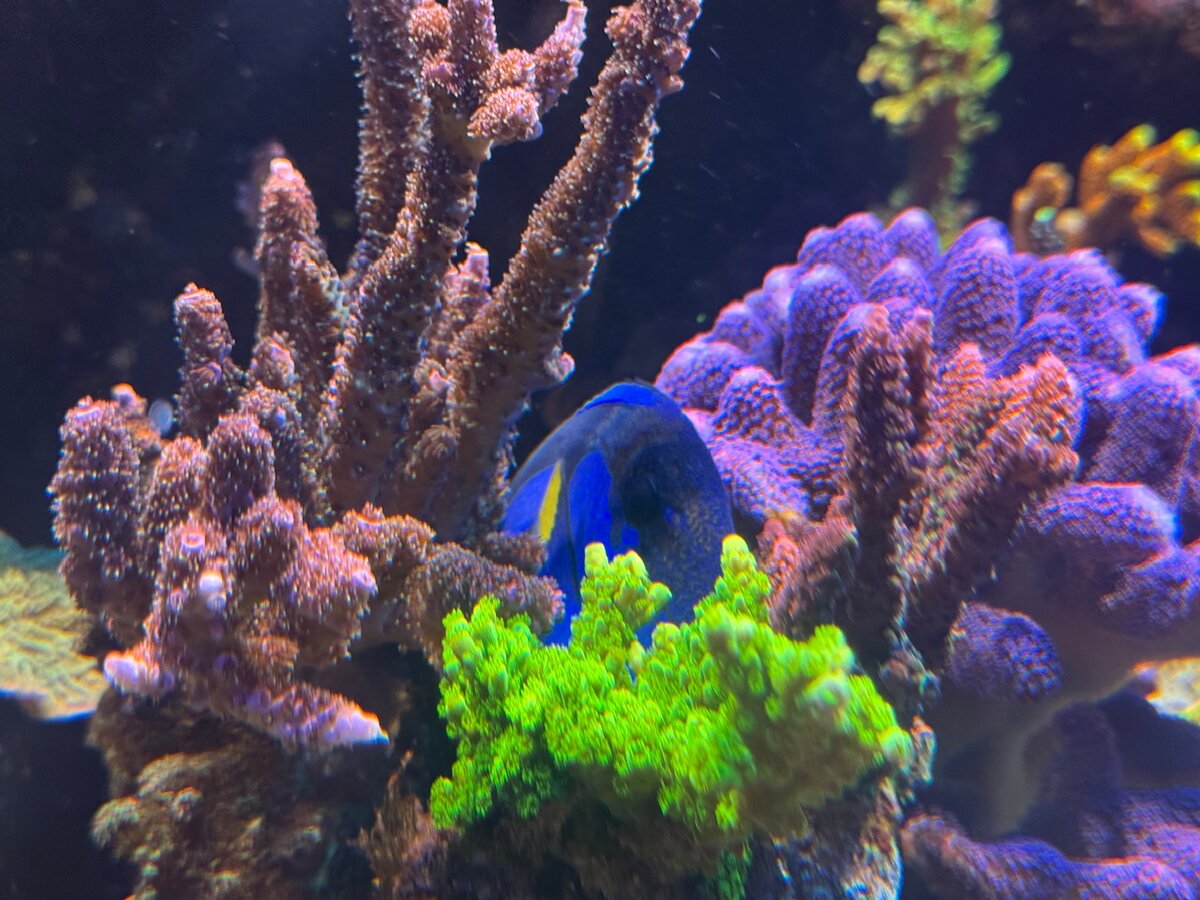 IMG_6008.jpeg